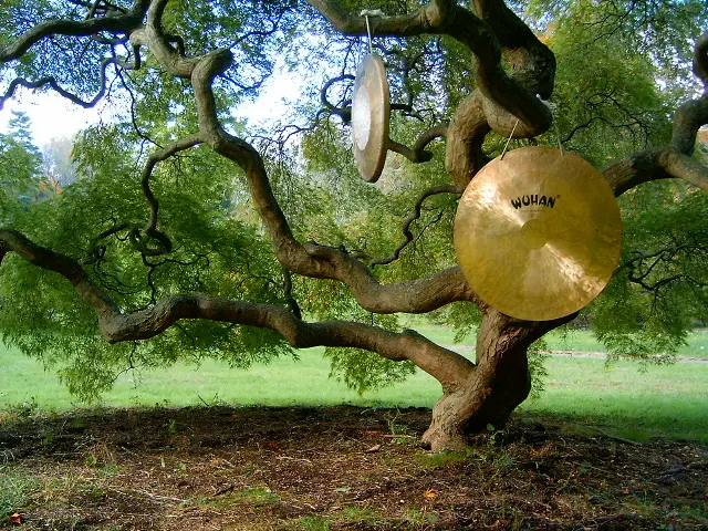 Gong Bang: Svemirske vibracije večeras na Bundeku