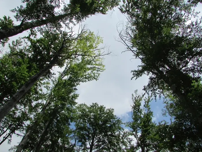 Naučite disati i poslušajte predavanje o Kundalini jogi 3 Naučite disati i poslušajte predavanje o Kundalini jogi