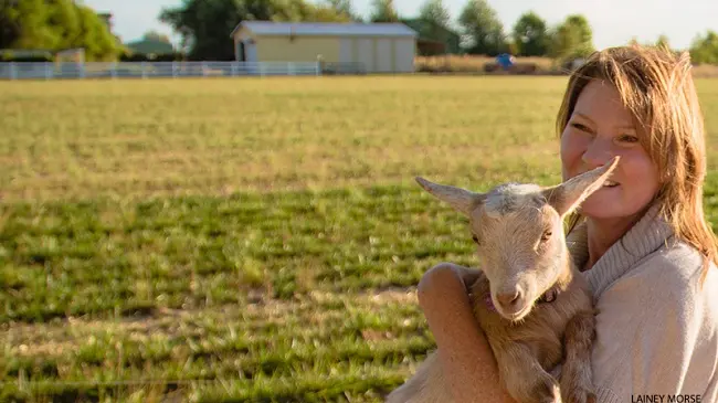 Joga s kozama novi je hit! 2 Lainey Morse koze